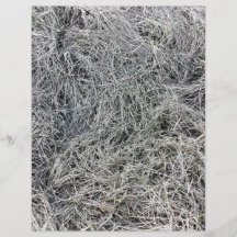 Tierra cenagosa con la hierba larga tarjetas publicitarias