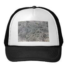 Tierra cenagosa con la hierba larga gorra