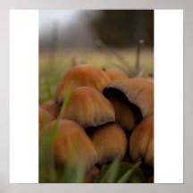 Tierra de Giants Poster