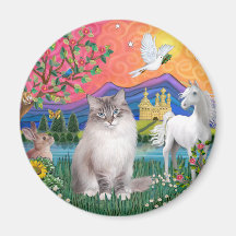 Tierra de la fantasía (FF) - Ragdoll (lince Colorp Imanes Para Frigoríficos