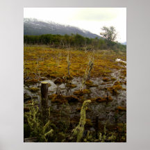 Tierra del Fuego - la Argentina Posters