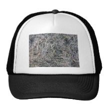 Tierra herbosa con sobre todo la hierba muerta gorros  