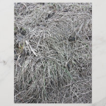 Tierra muerta larga de la hierba tarjetas informativas