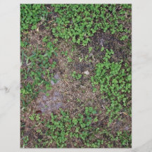 Tierra seca con la hierba y la mala hierba del dól tarjetones