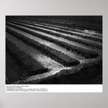 Tierra y agua de Ansel Adams Posters