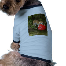 Tiger_Aroara037 Camisetas Mascota