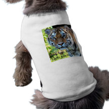 Tiger Haustierkleidung