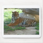 Tiger, Royal Bengal Tiger Mauspad