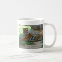 Tiger, Royal Bengal Tiger Tee Haferl