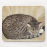 Tigerkatze Mauspad