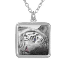 Tigre blanco collar personalizado