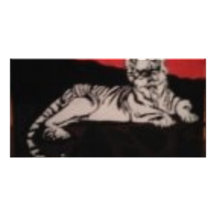 tigre blanco y negro tarjeta fotográfica