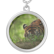 Tigre Collar-Animal-Agachado