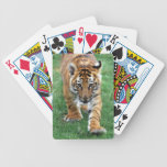 Tigre de bebé que le mira