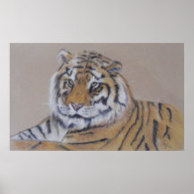 Tigre de descanso poster