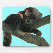 Tigre de Treed Tapetes De Ratones