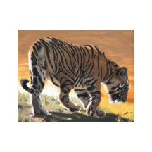 Tigre en la lona de Bandhavgarh Lona Envuelta Para Galerias