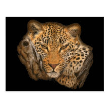 Tigre en un árbol tarjeta postal