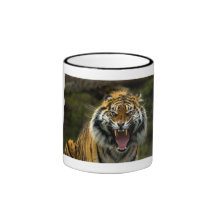 tigre enojado 2 tazas