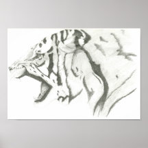 Tigre enojado poster