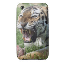 tigre iPhone 3 Case-Mate carcasa