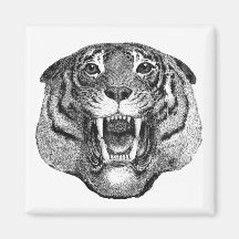 Tigre Imán De Frigorífico