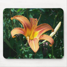 Tigre Lilly Mousepad Tapetes De Ratón