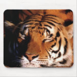 "Tigre" Mousepad el dormir