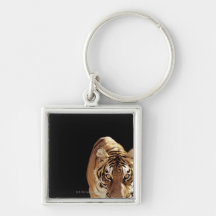 Tigre (Panthera el Tigris) Llaveros