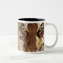 Tigre (Panthera el Tigris) Tazas De Café