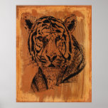 tigre posters