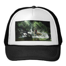 Tigre salvaje que ataca un mono gorro