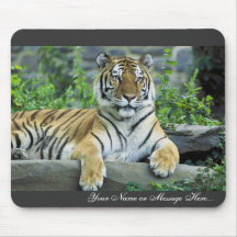 Tigre, siberiano tapete de raton