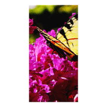 Tigre Swallowtail en azalea Plantilla Para Tarjeta De Foto