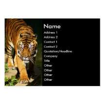 tigre tarjetas personales