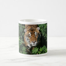 Tigre - taza