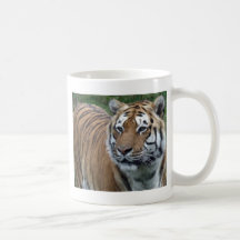 Tigre Taza De Café