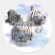 Tigres blancos etiqueta