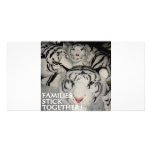 TIGRES DEL PALILLO DE LAS FAMILIAS JUNTO TARJETAS FOTOGRAFICAS PERSONALIZADAS