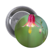 Tinkerbell rosado pin