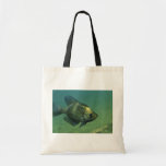 Tipo de pez negro bolsa