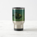 Tipo de pez negro tazas de café