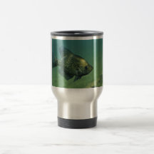 Tipo de pez negro tazas de café