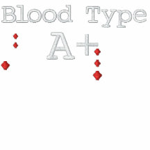 Tipo de sangre A+ Camiseta bordada