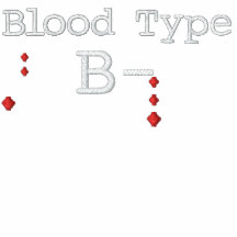 Tipo de sangre camiseta bordada b