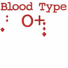 Tipo de sangre O+ Camiseta bordada