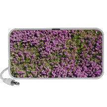 Tiro agradable de flores púrpuras en un día solead laptop altavoz