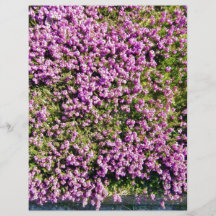 Tiro agradable de flores púrpuras en un día solead flyer personalizado