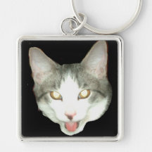 Tiro de la cabeza del gato de Punkysthe Llavero