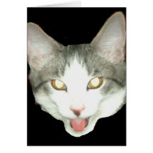 Tiro de la cabeza del gato de Punkysthe Tarjetas